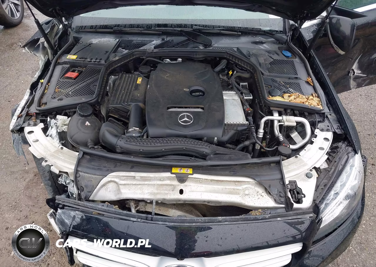 2015 Mercedes-Benz C 300 VIN:55SWF4JB9FU089981 - 10