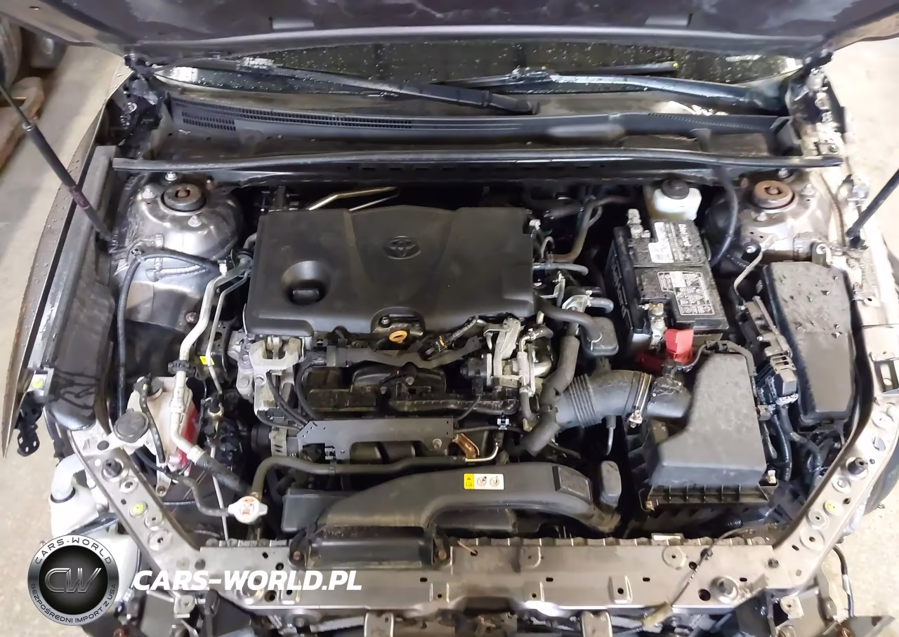 2019 Toyota Camry Se VIN:4T1B11HKXKU175557 - 10