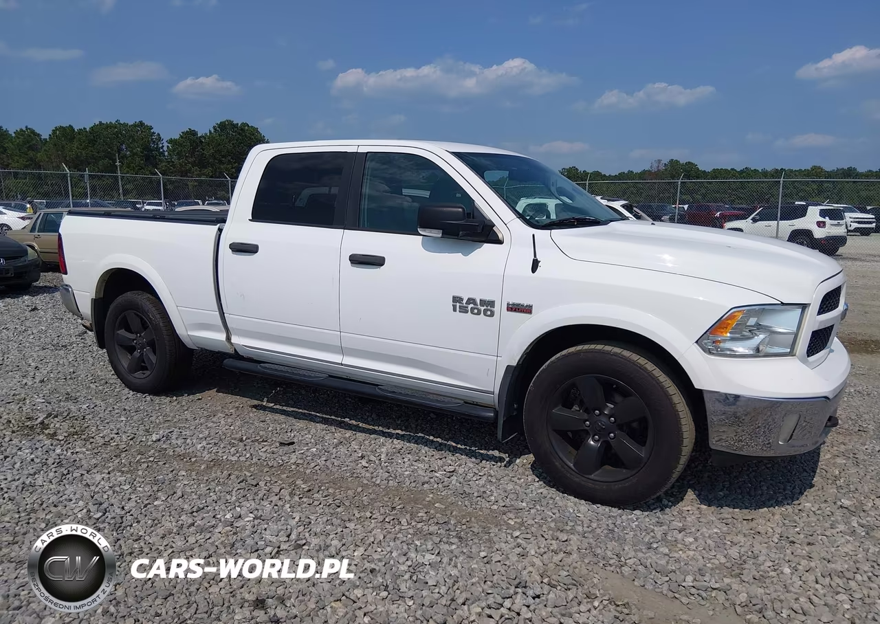 2015 Ram 1500 Outdoorsman VIN:1C6RR7TT8FS505204 - 13