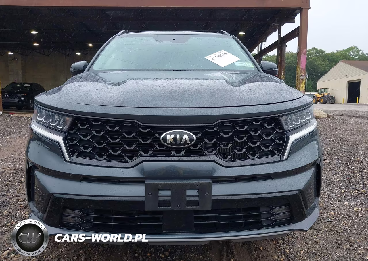 2021 Kia Sorento Ex VIN:5XYRHDLF3MG025269 - 12