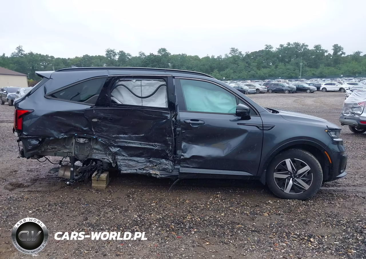 2021 Kia Sorento Ex VIN:5XYRHDLF3MG025269 - 13