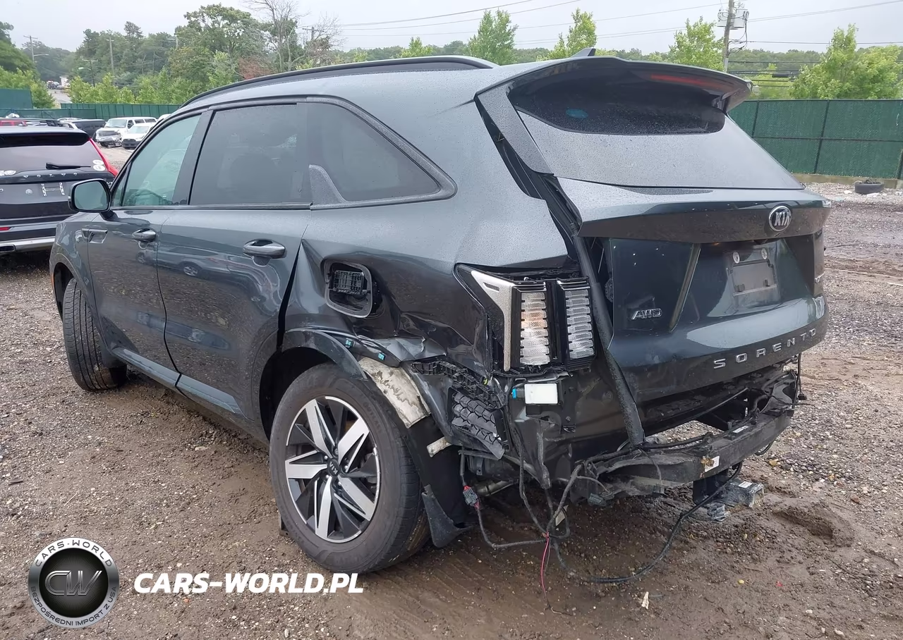2021 Kia Sorento Ex VIN:5XYRHDLF3MG025269 - 3