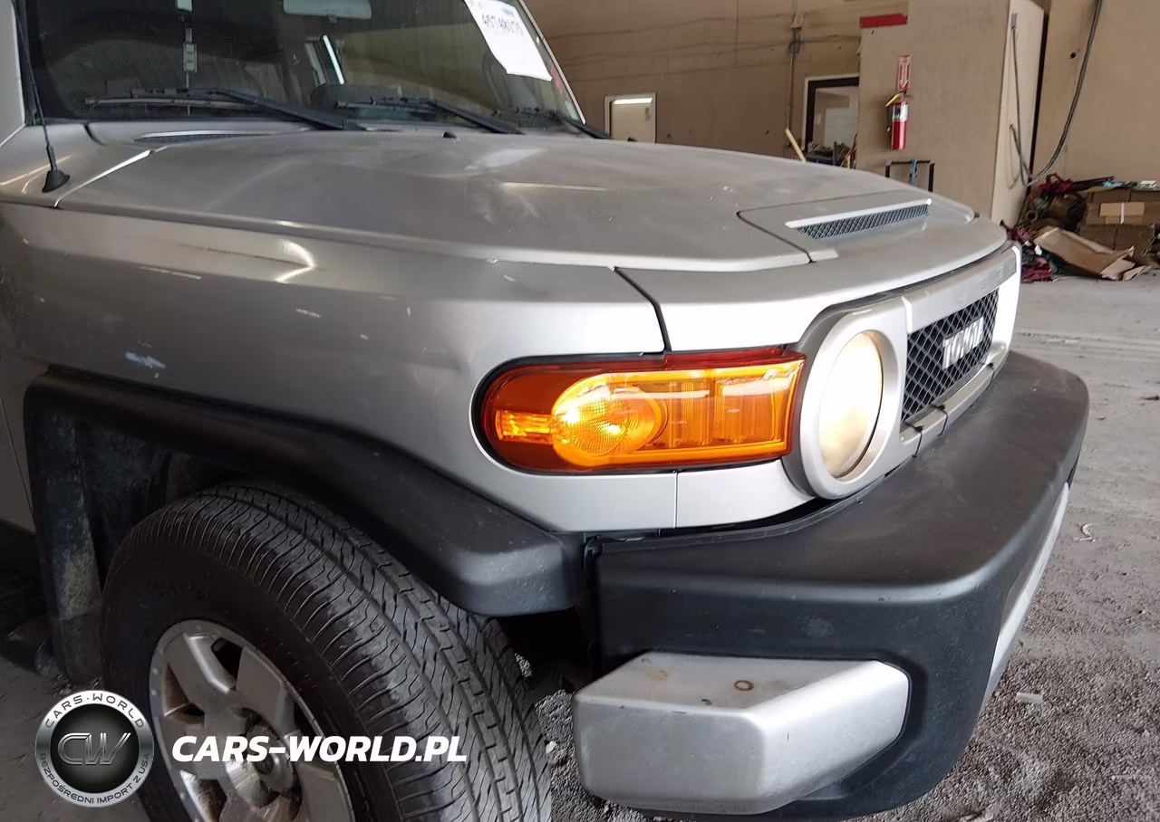 2007 Toyota Fj Cruiser VIN:JTEBU11FX70017156 - 20