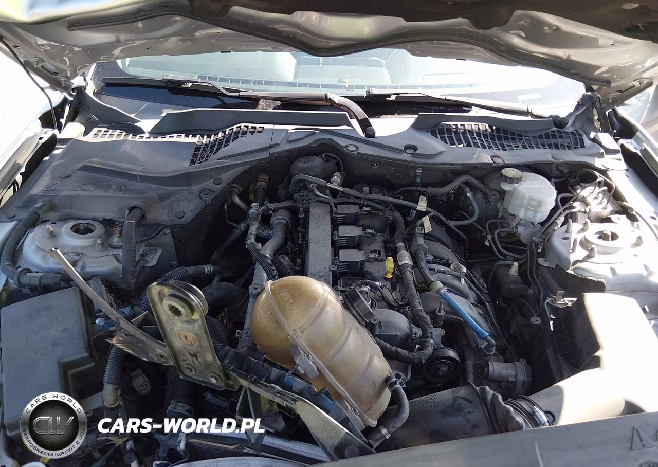 2020 Ford Mustang Ecoboost Premium Fastback VIN:1FA6P8TH3L5100659 - 10