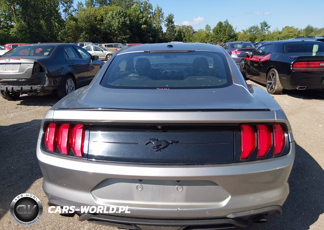 2020 Ford Mustang Ecoboost Premium Fastback VIN:1FA6P8TH3L5100659 - 17