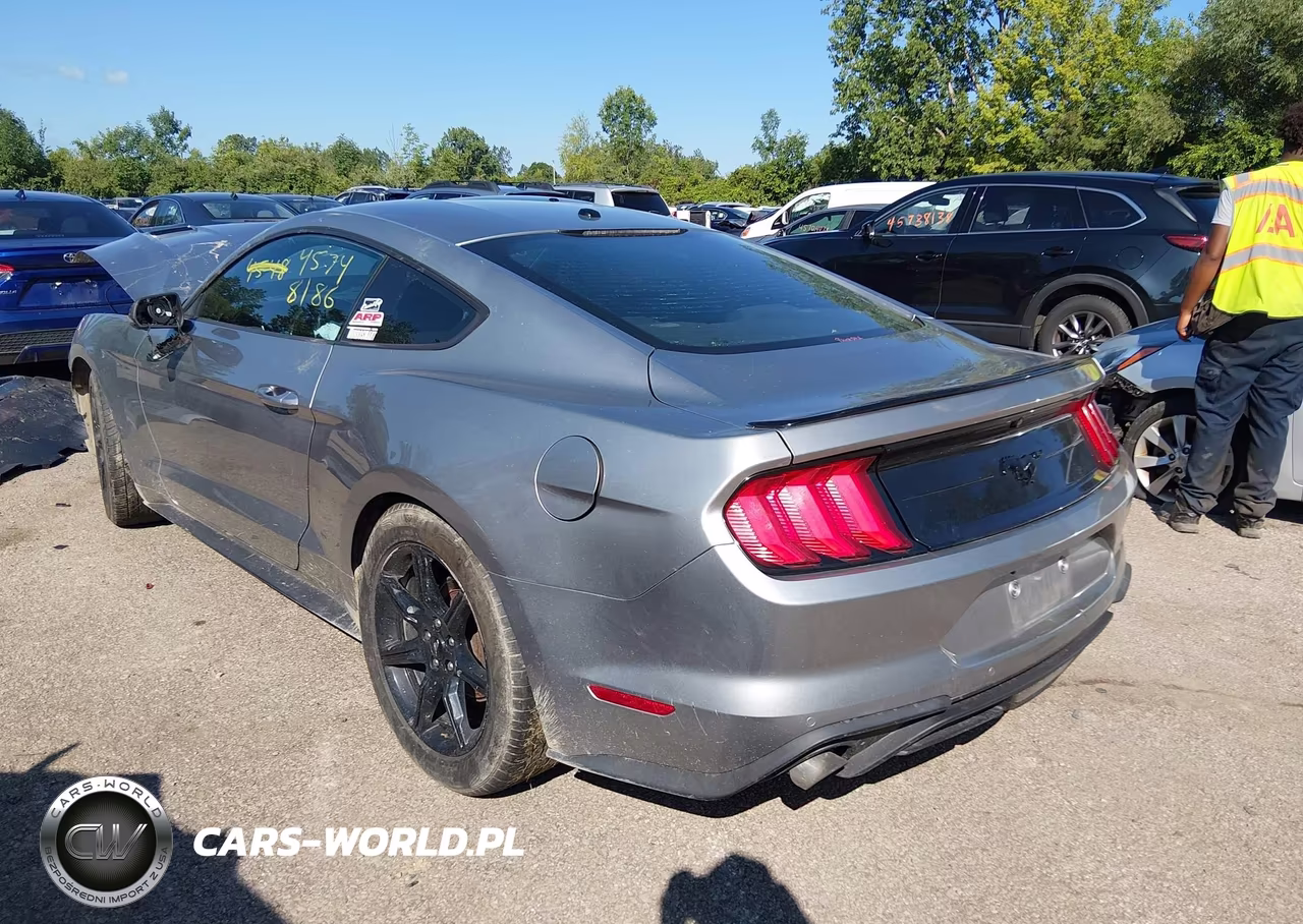 2020 Ford Mustang Ecoboost Premium Fastback VIN:1FA6P8TH3L5100659 - 3