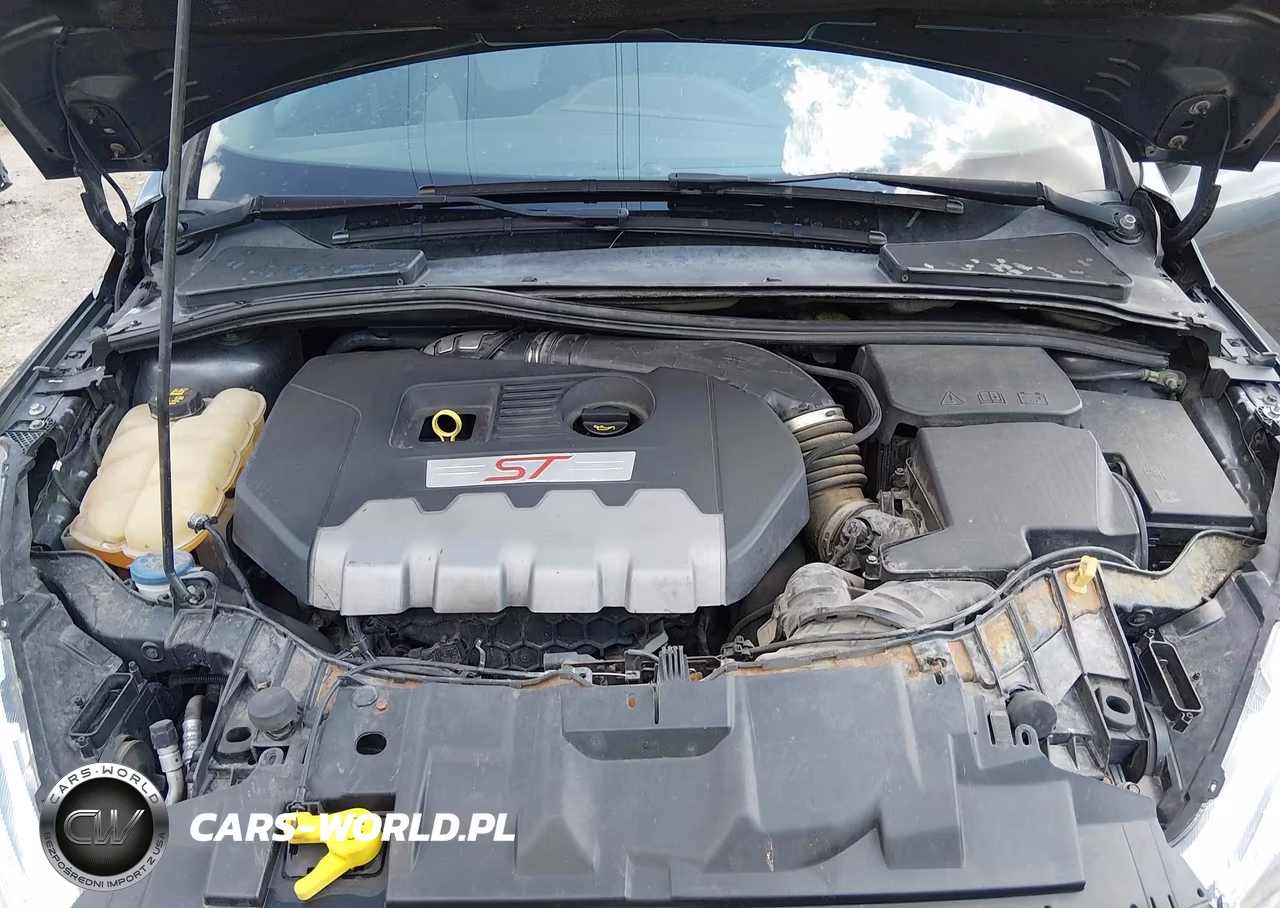 2017 Ford Focus St VIN:1FADP3L96HL292584 - 10