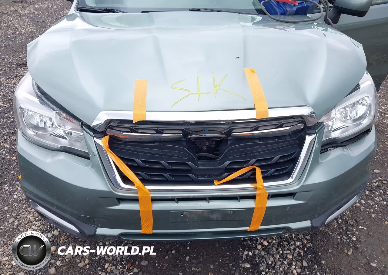 2018 Subaru Forester 2.5I Premium VIN:JF2SJAEC7JH617639 - 10