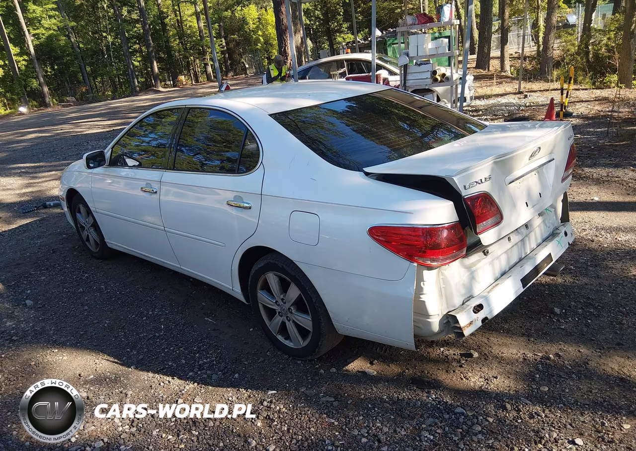 2005 Lexus Es 330 VIN:JTHBA30G955134714 - 3