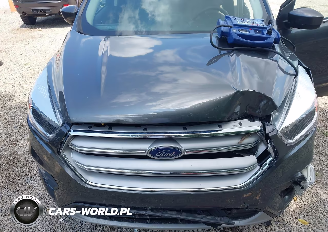 2019 Ford Escape Se VIN:1FMCU0GD2KUA95131 - 10
