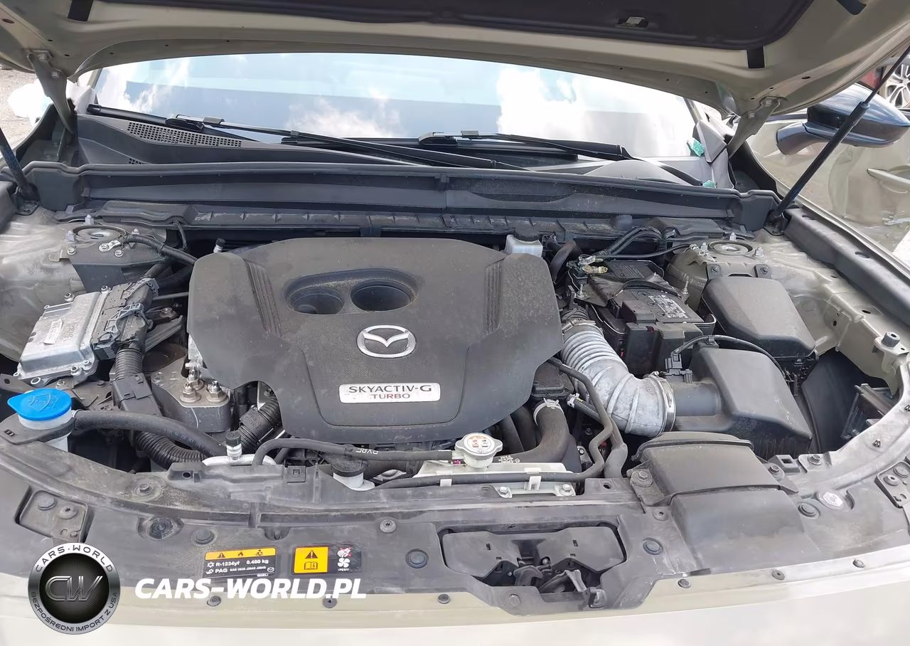 2023 Mazda Cx-50 2.5 Turbo Premium Plus VIN:7MMVABEY0PN109553 - 10
