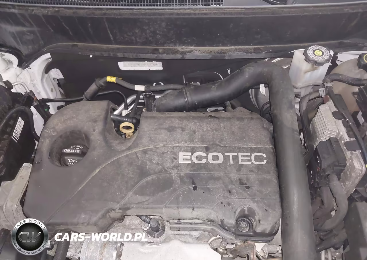 2019 Chevrolet Equinox Lt VIN:3GNAXUEV1KL176774 - 10
