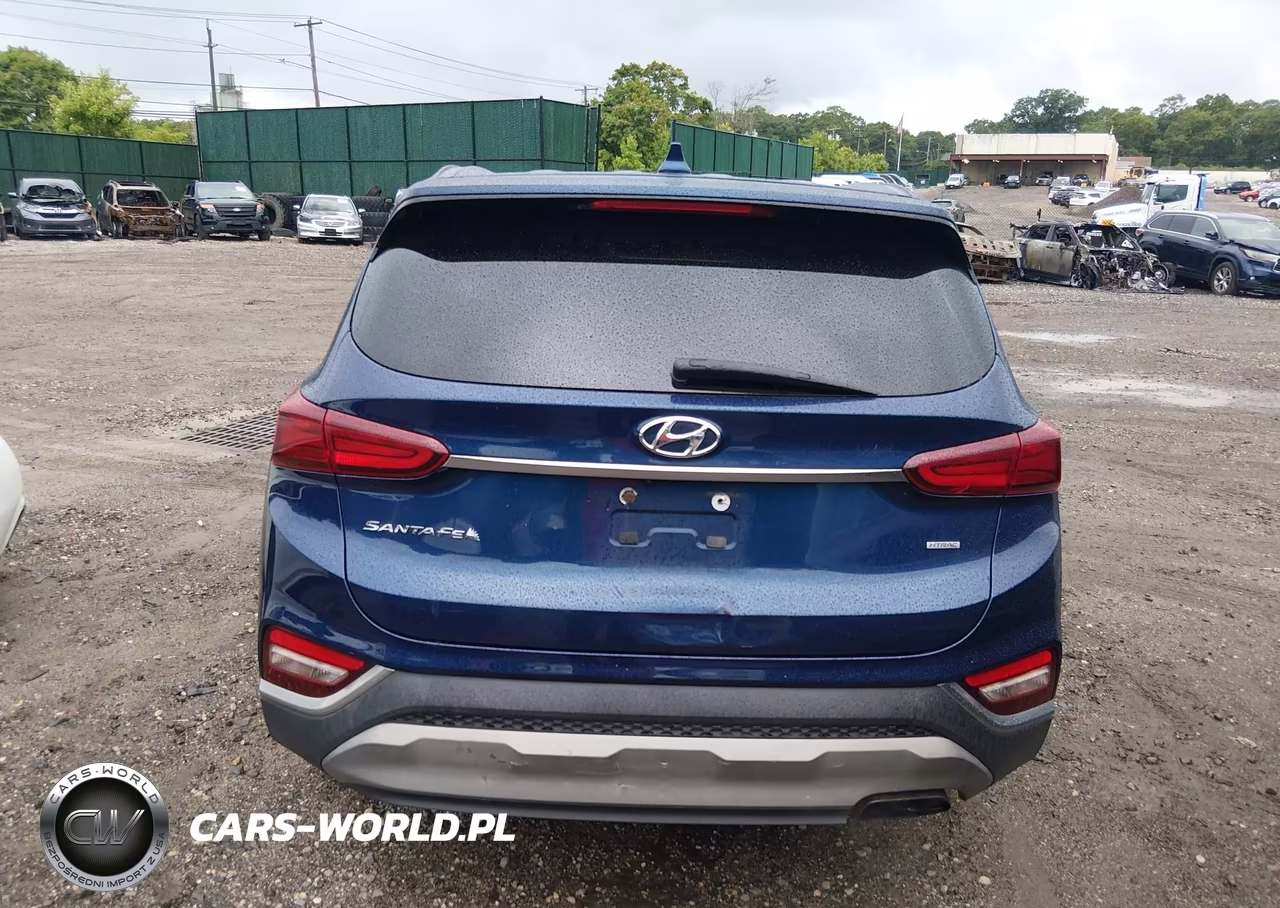 2020 Hyundai Santa Fe Sel VIN:5NMS3CAD6LH290090 - 16
