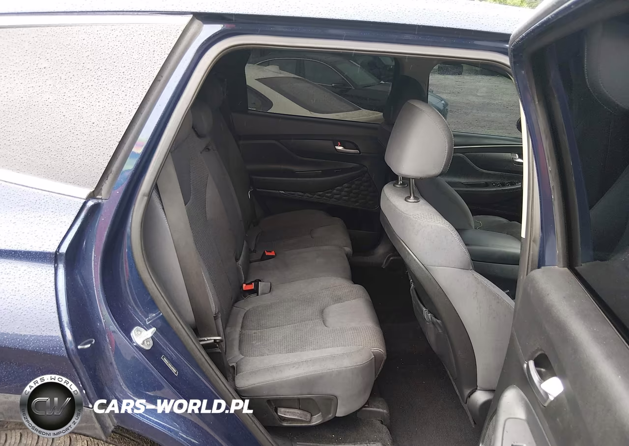 2020 Hyundai Santa Fe Sel VIN:5NMS3CAD6LH290090 - 8