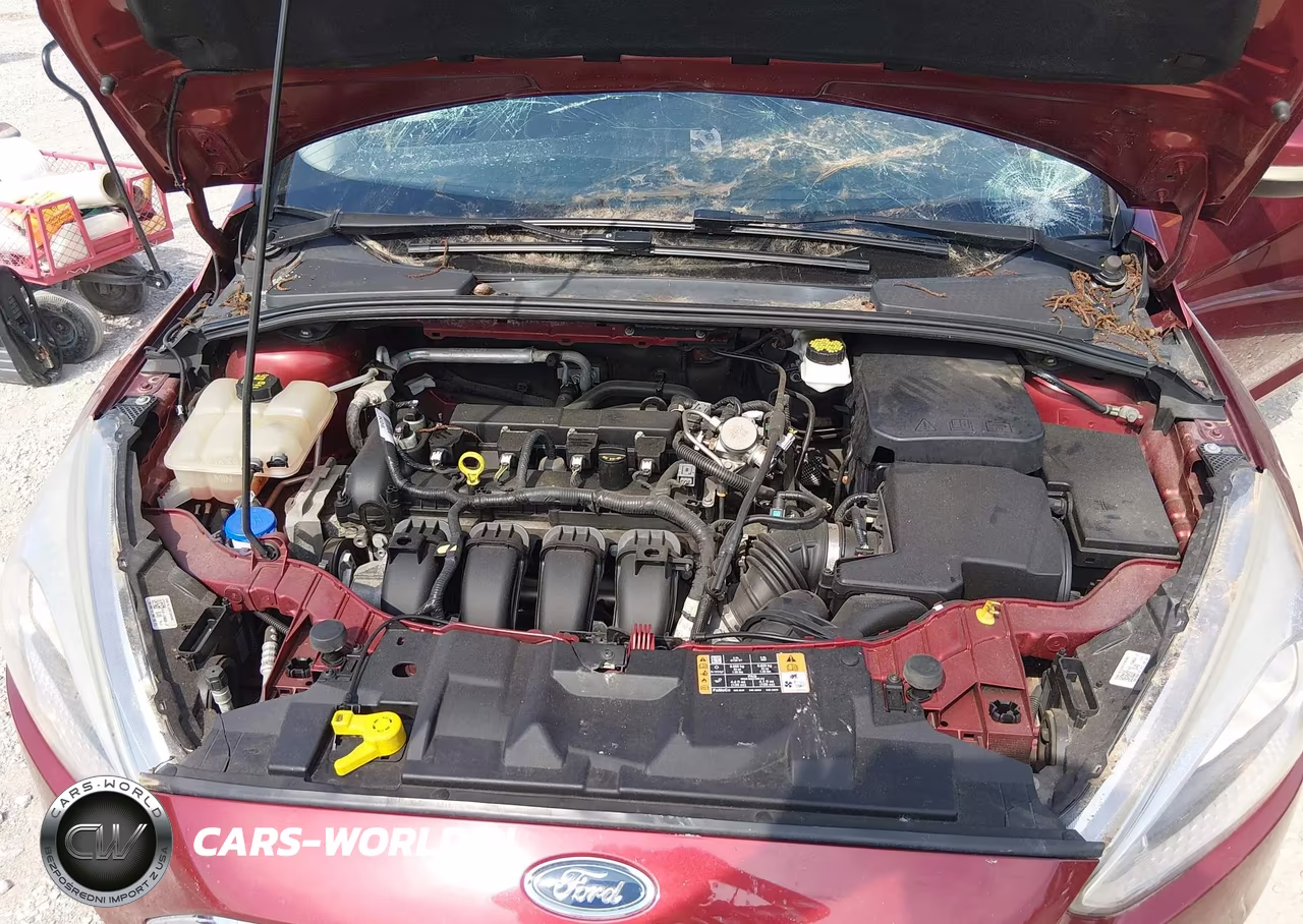 2017 Ford Focus Se VIN:1FADP3K26HL347801 - 10