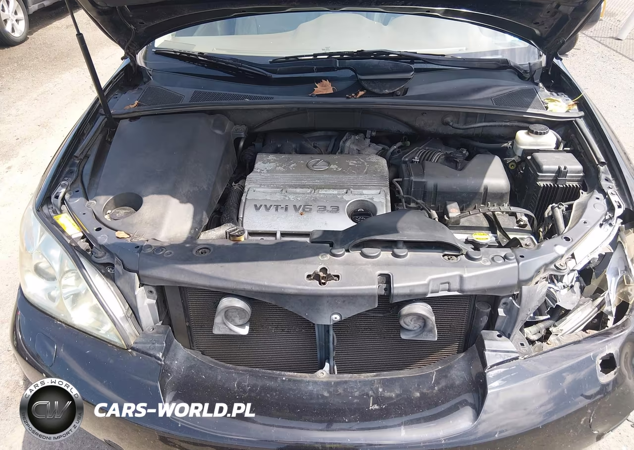 2004 Lexus Rx 330 VIN:2T2HA31U34C024223 - 10