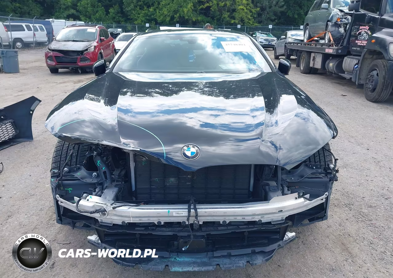 2021 BMW M850I xDrive VIN:WBABC4C00MCF01946 - 13