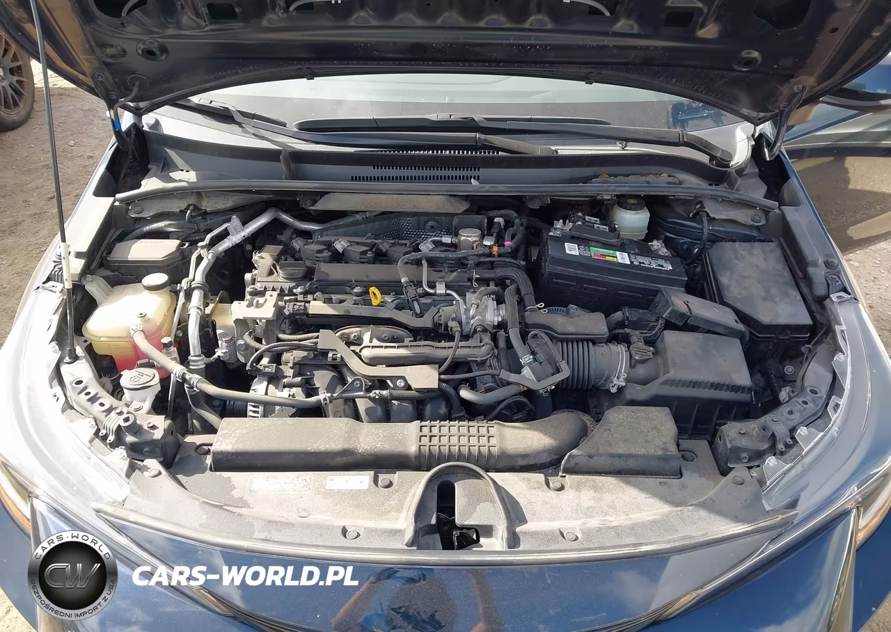 2019 Toyota Corolla Se VIN:JTNK4RBE5K3069001 - 10