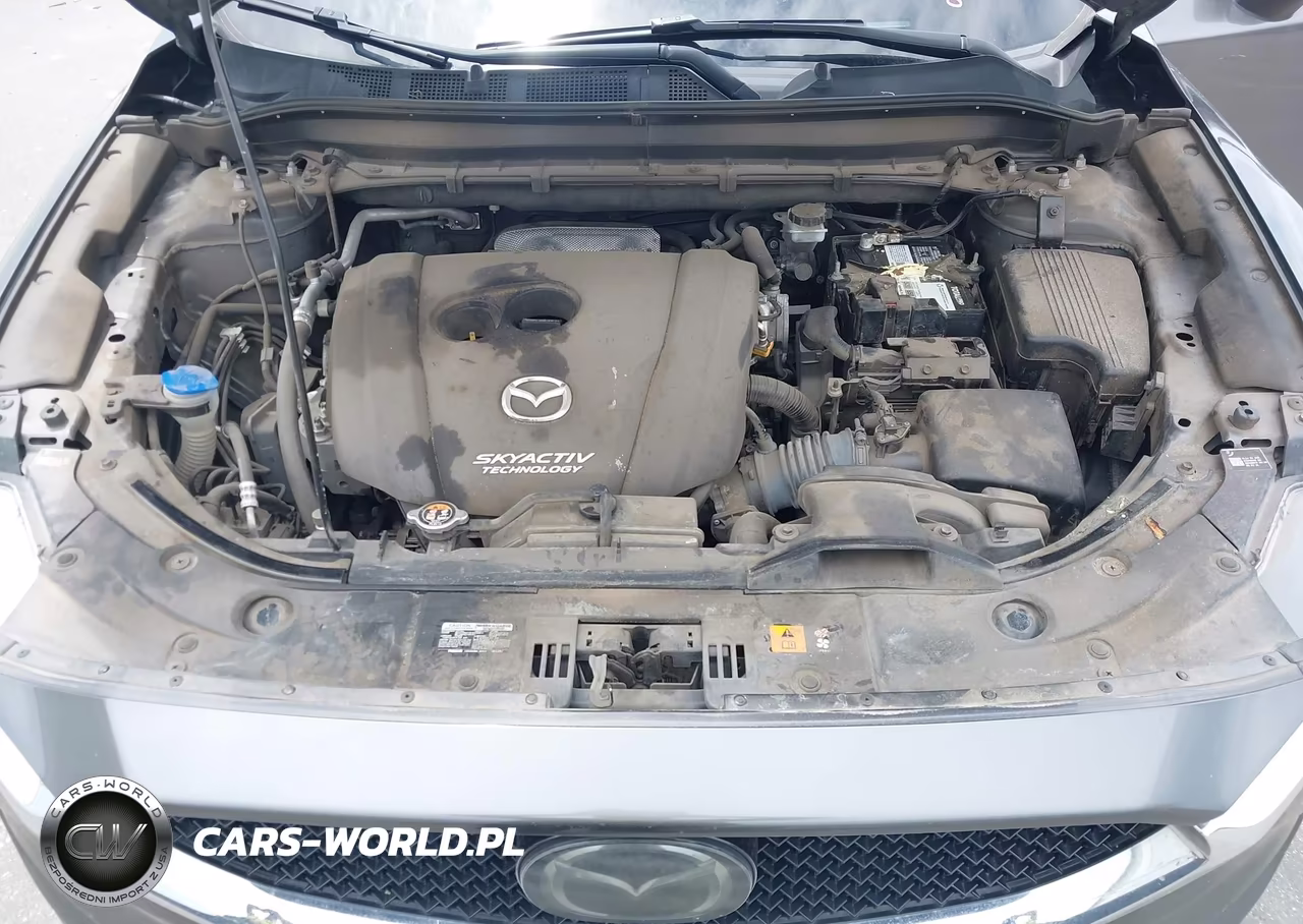 2019 Mazda Cx-5 Touring VIN:JM3KFACM4K1500162 - 10