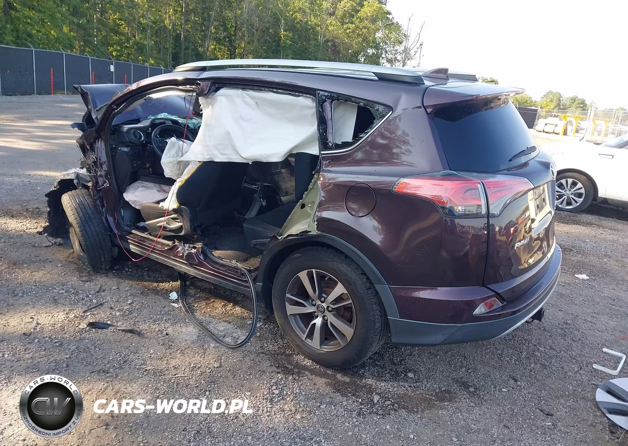 2017 Toyota Rav4 Xle VIN:2T3WFREV6HW351438 - 3