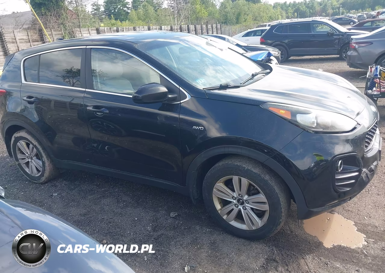 2017 Kia Sportage Lx VIN:KNDPMCAC0H7040479 - 13
