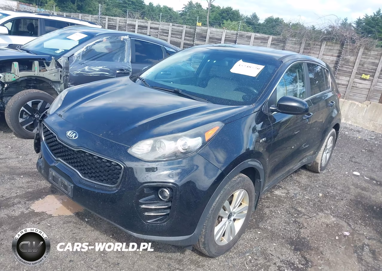2017 Kia Sportage Lx VIN:KNDPMCAC0H7040479 - 2