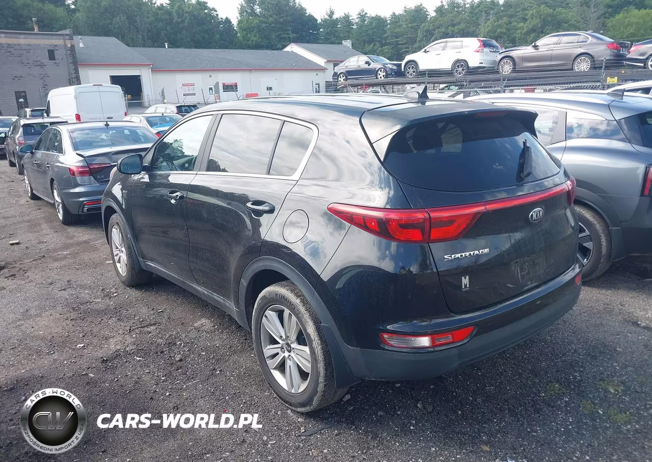 2017 Kia Sportage Lx VIN:KNDPMCAC0H7040479 - 3