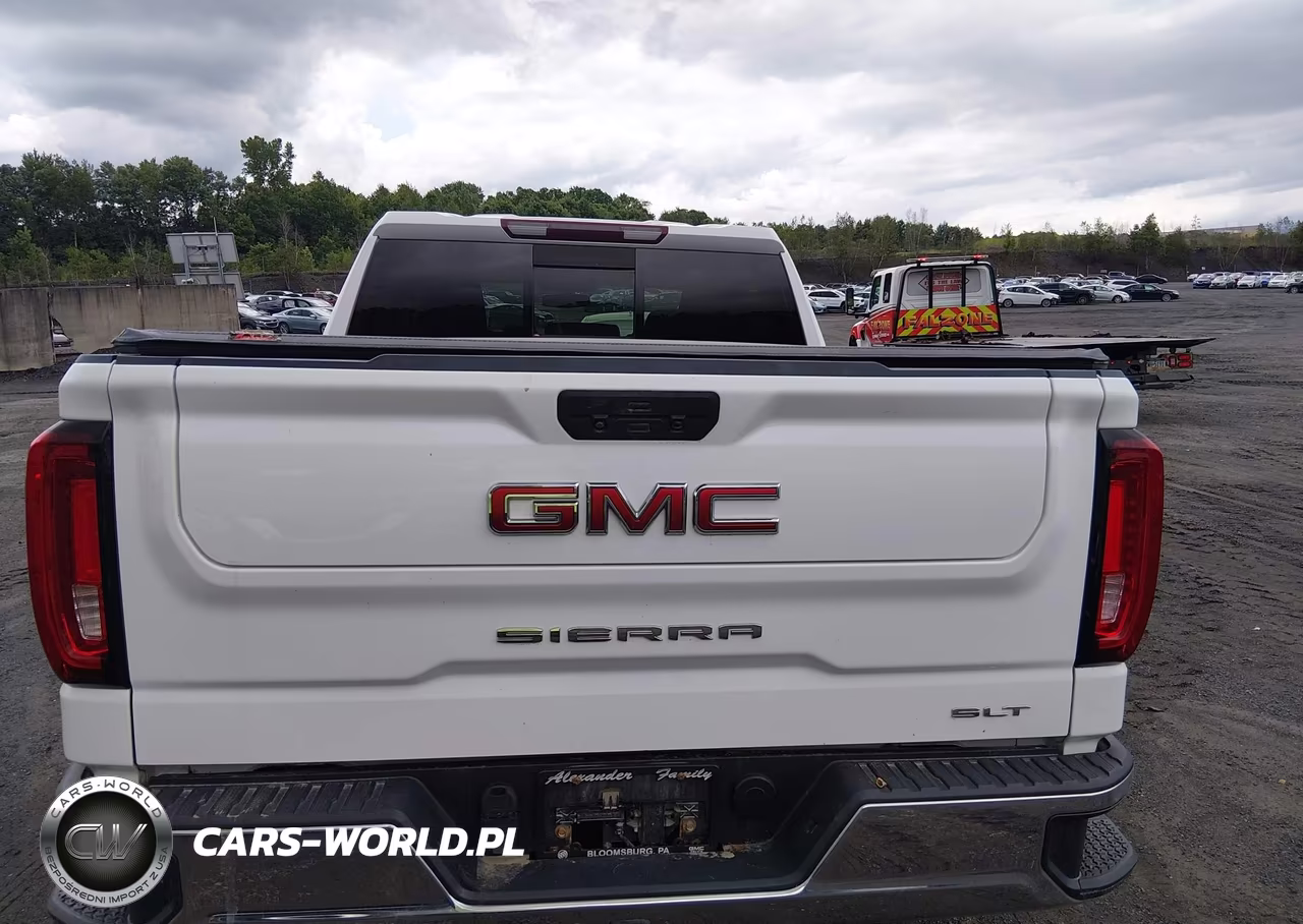 2020 GMC Sierra 1500 4Wd Short Box Slt VIN:1GTU9DED6LZ185391 - 16