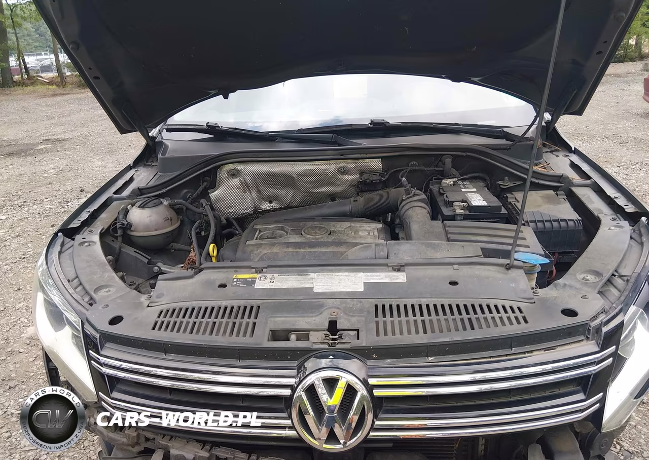 2014 Volkswagen Tiguan S VIN:WVGAV3AX2EW600943 - 10