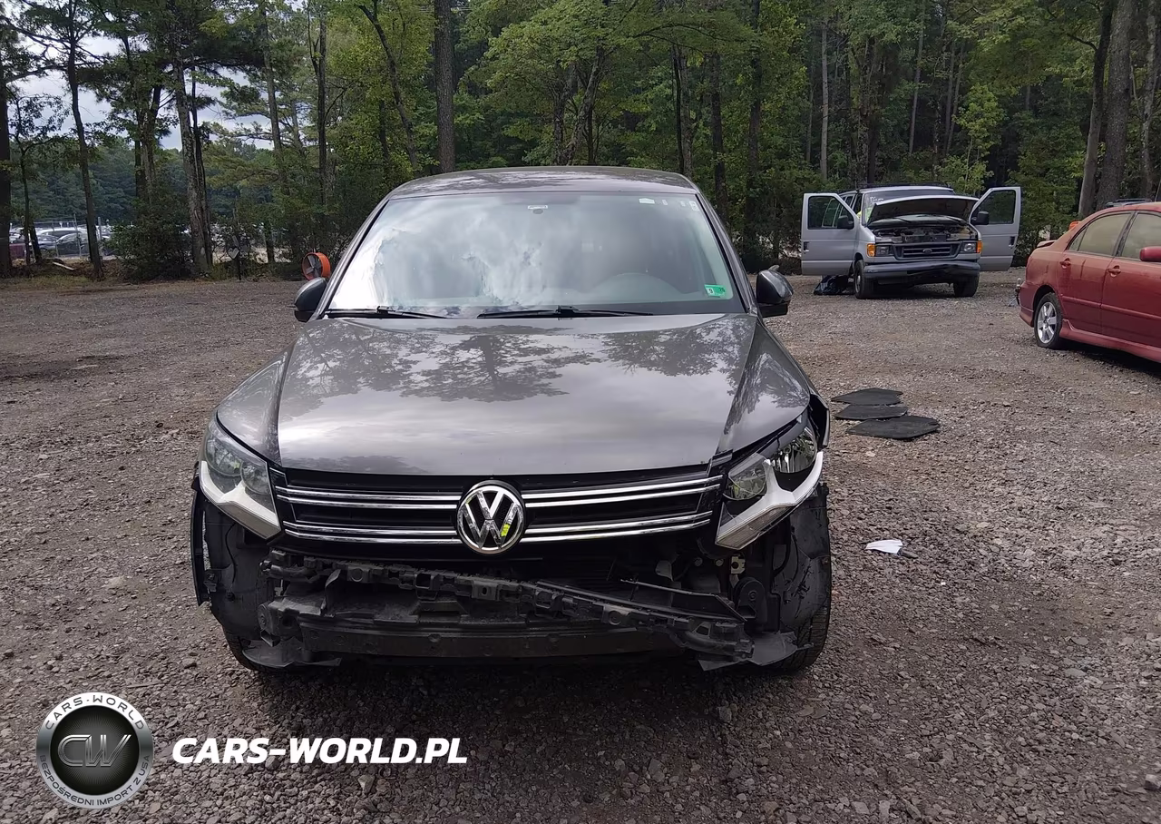 2014 Volkswagen Tiguan S VIN:WVGAV3AX2EW600943 - 13