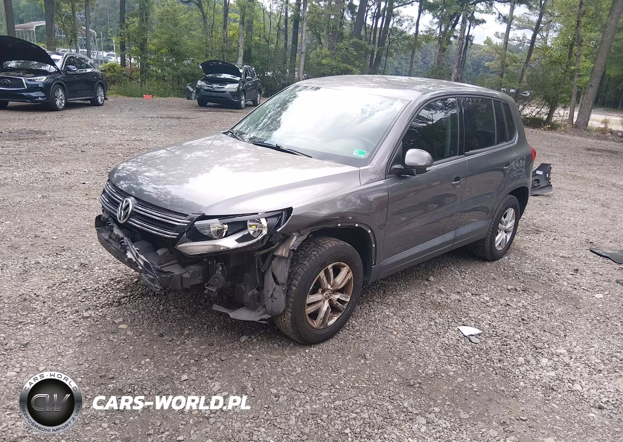 2014 Volkswagen Tiguan S VIN:WVGAV3AX2EW600943 - 2