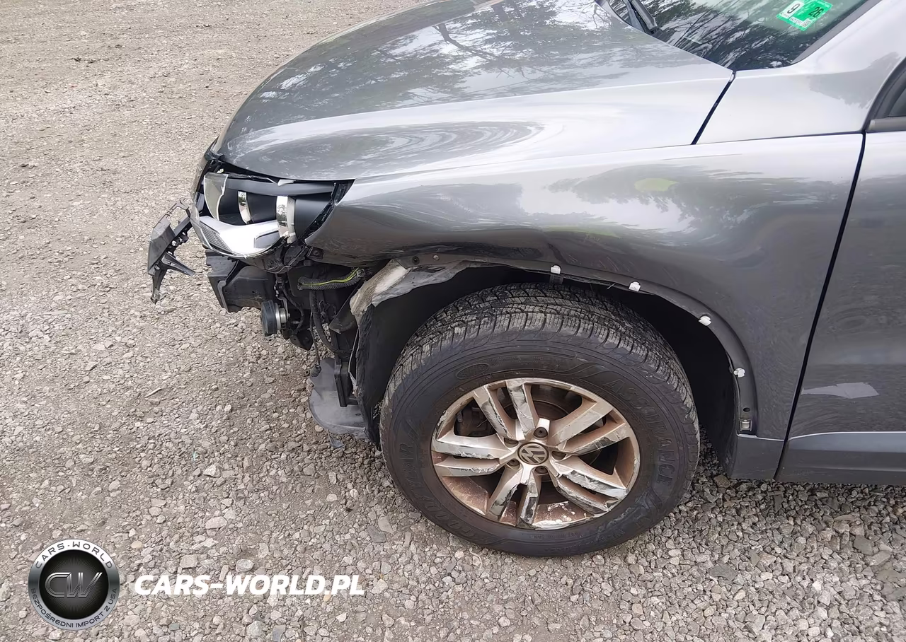 2014 Volkswagen Tiguan S VIN:WVGAV3AX2EW600943 - 6