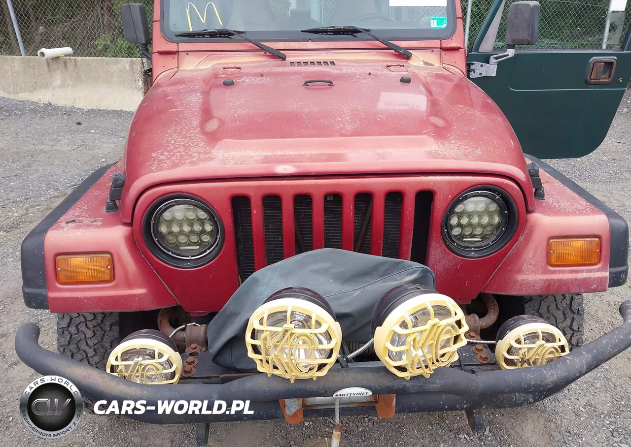 1999 Jeep Wrangler Sport VIN:1J4FY19S7XP454786 - 6