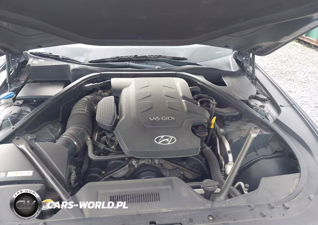2015 Hyundai Genesis 3.8 VIN:KMHGN4JE1FU078303 - 10