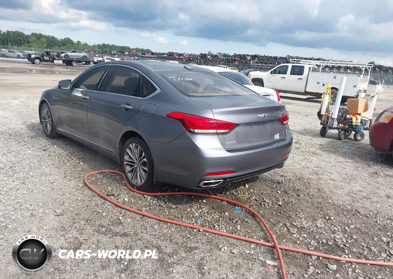 2015 Hyundai Genesis 3.8 VIN:KMHGN4JE1FU078303 - 3