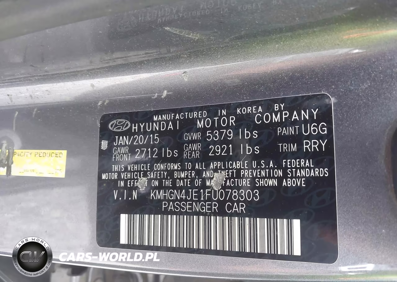 2015 Hyundai Genesis 3.8 VIN:KMHGN4JE1FU078303 - 9