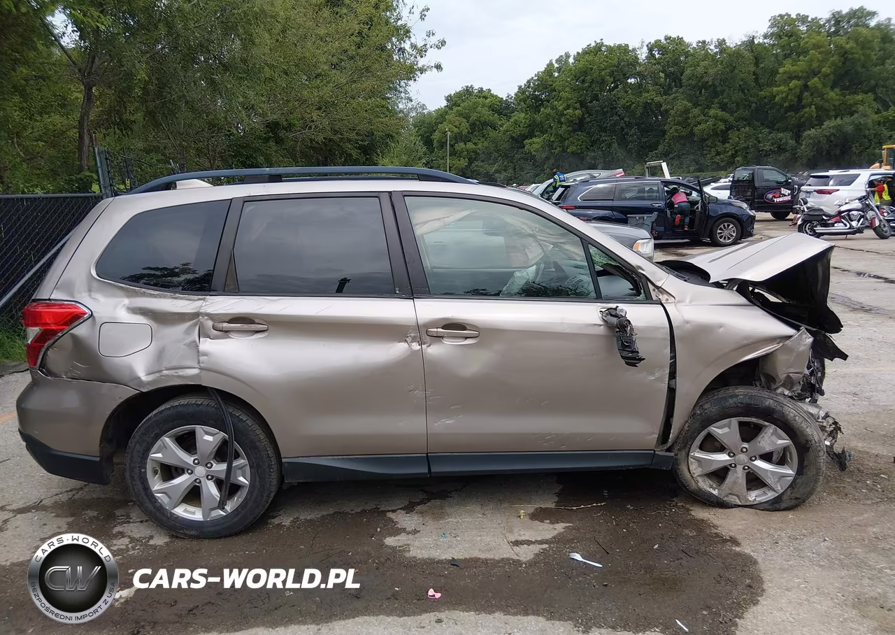 2016 Subaru Forester 2.5I Premium VIN:JF2SJADC8GH480933 - 13