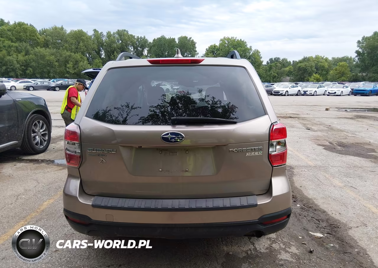 2016 Subaru Forester 2.5I Premium VIN:JF2SJADC8GH480933 - 16