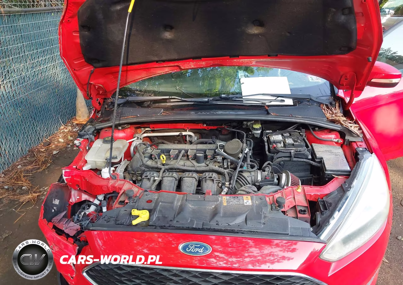 2015 Ford Focus Se VIN:1FADP3F21FL204164 - 10