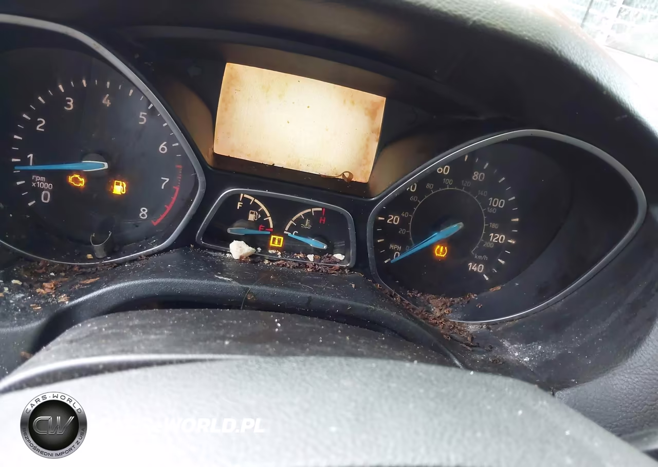2015 Ford Focus Se VIN:1FADP3F21FL204164 - 7