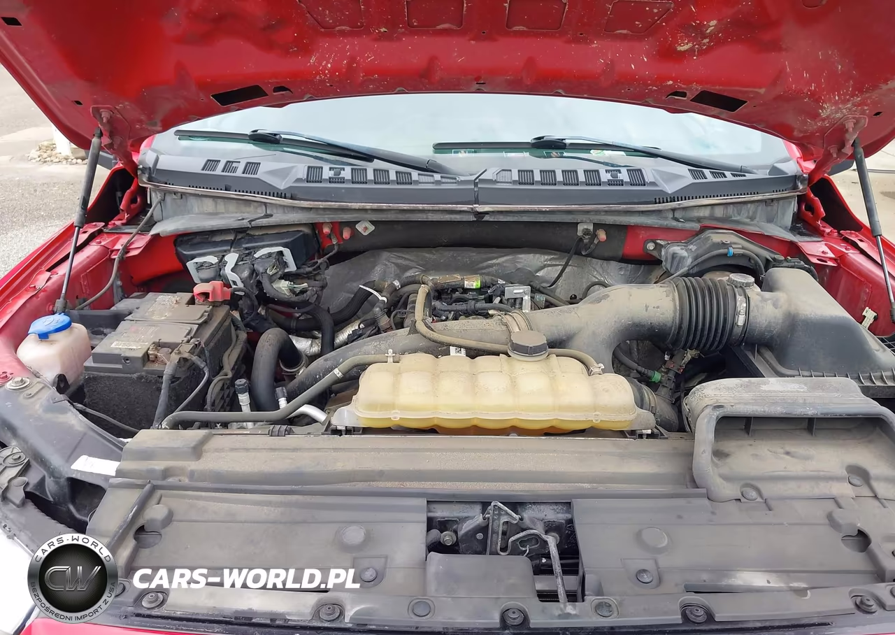 2020 Ford F-150 Xl VIN:1FTEW1EP5LKF45362 - 10