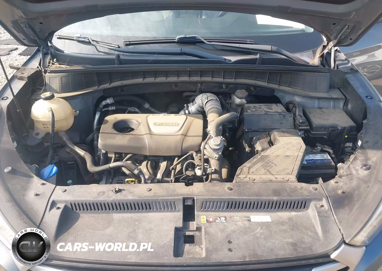 2017 Hyundai Tucson Sport VIN:KM8J3CA20HU401500 - 10