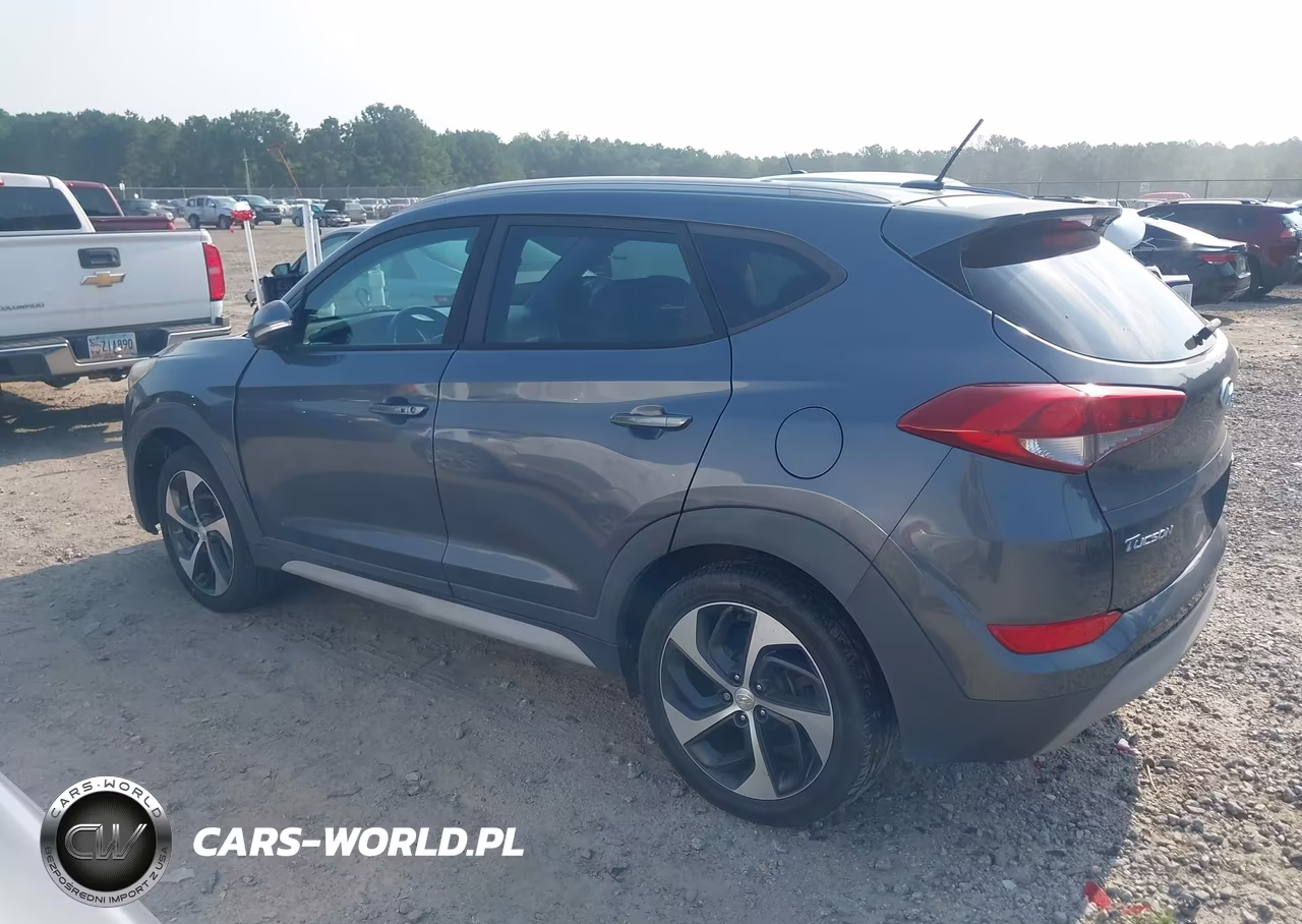 2017 Hyundai Tucson Sport VIN:KM8J3CA20HU401500 - 14