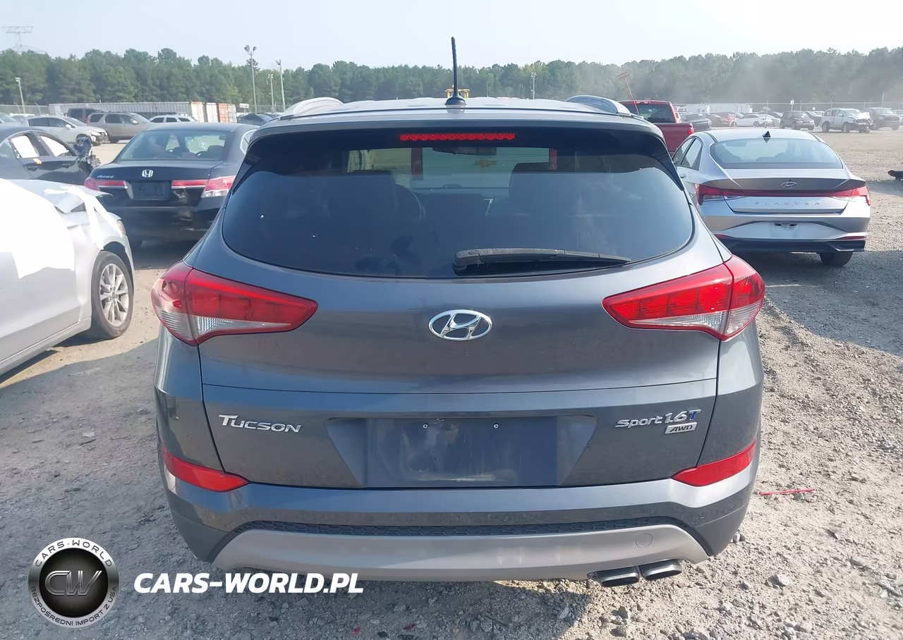 2017 Hyundai Tucson Sport VIN:KM8J3CA20HU401500 - 16