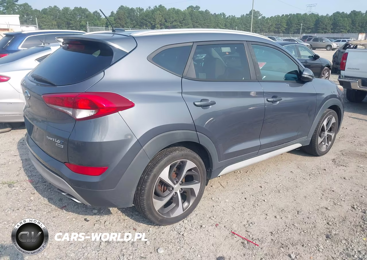 2017 Hyundai Tucson Sport VIN:KM8J3CA20HU401500 - 4