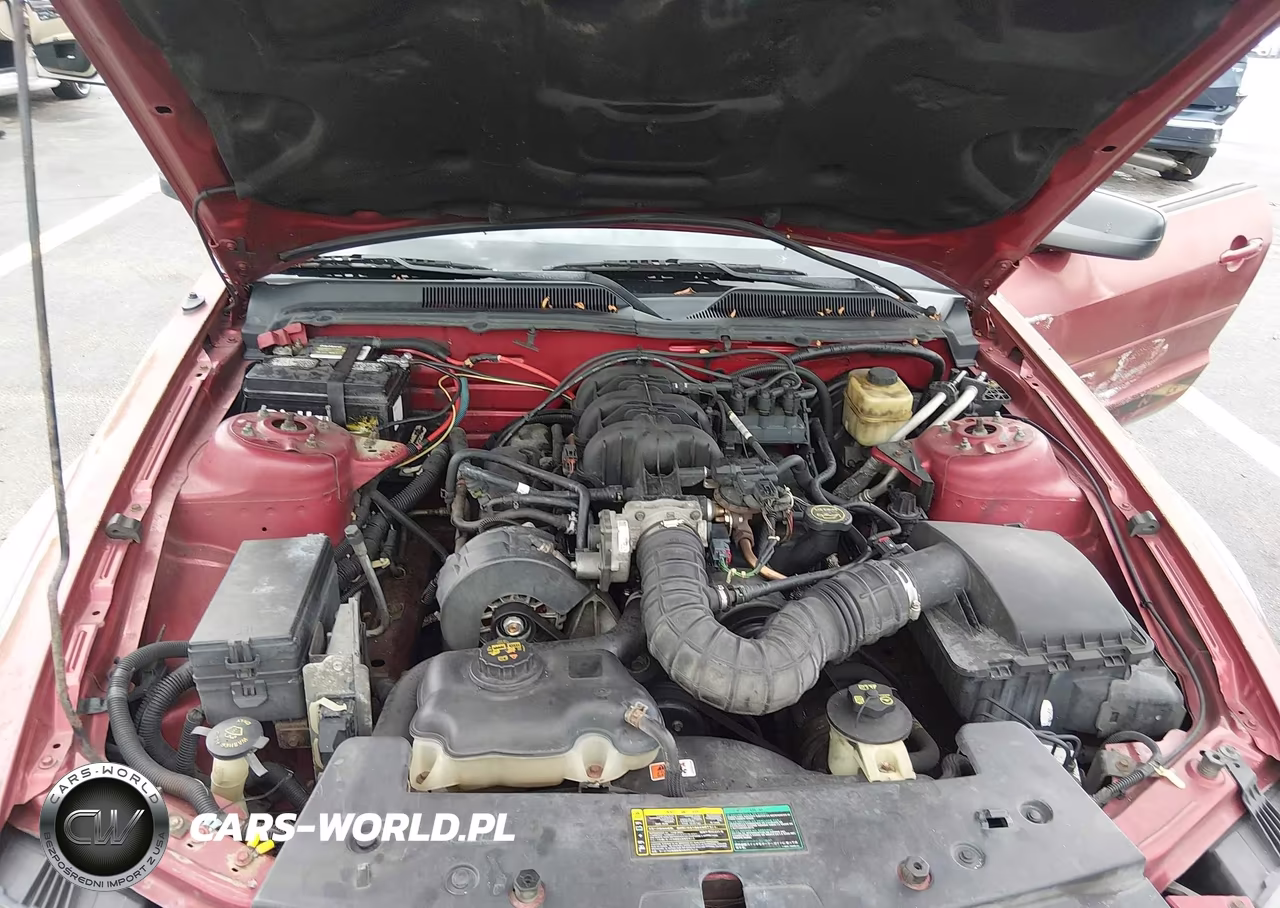 2005 Ford Mustang V6 Deluxe-V6 Premium VIN:1ZVFT80N655177901 - 10