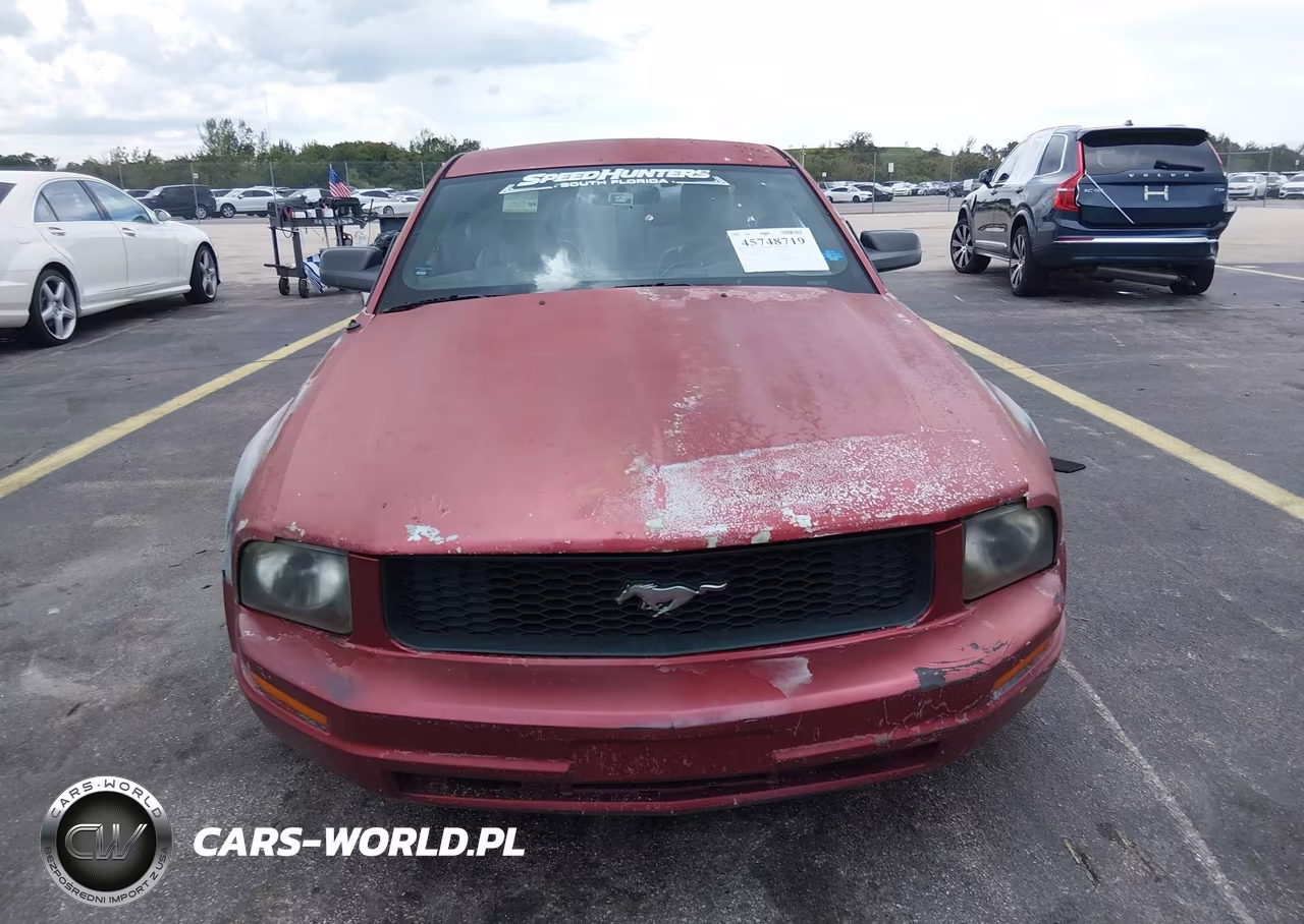2005 Ford Mustang V6 Deluxe-V6 Premium VIN:1ZVFT80N655177901 - 11
