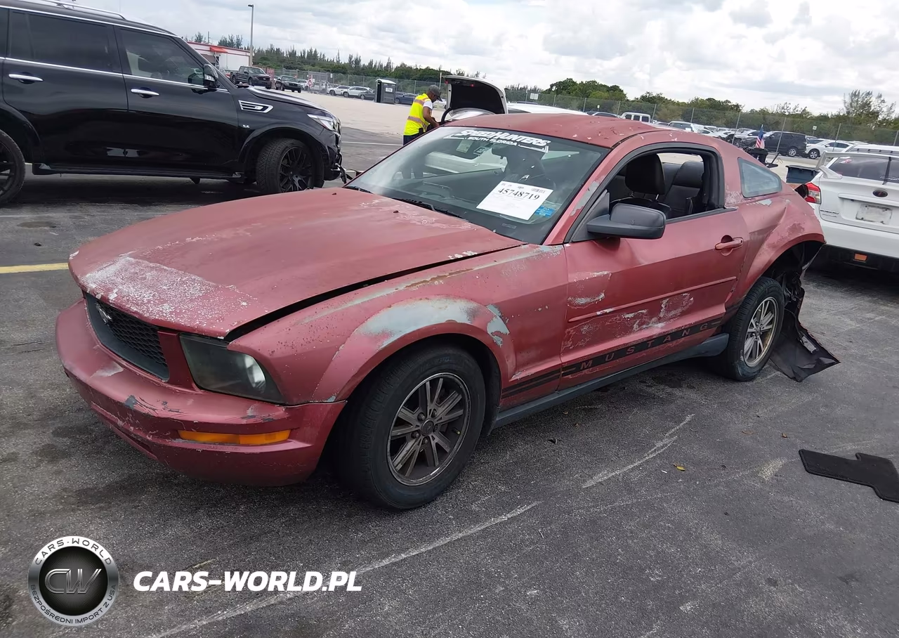 2005 Ford Mustang V6 Deluxe-V6 Premium VIN:1ZVFT80N655177901 - 2