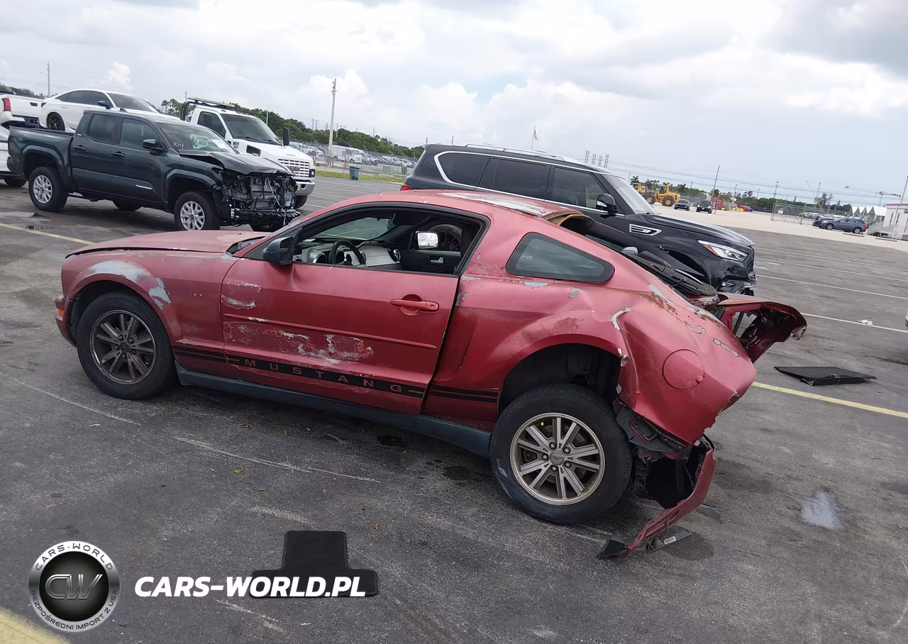 2005 Ford Mustang V6 Deluxe-V6 Premium VIN:1ZVFT80N655177901 - 3