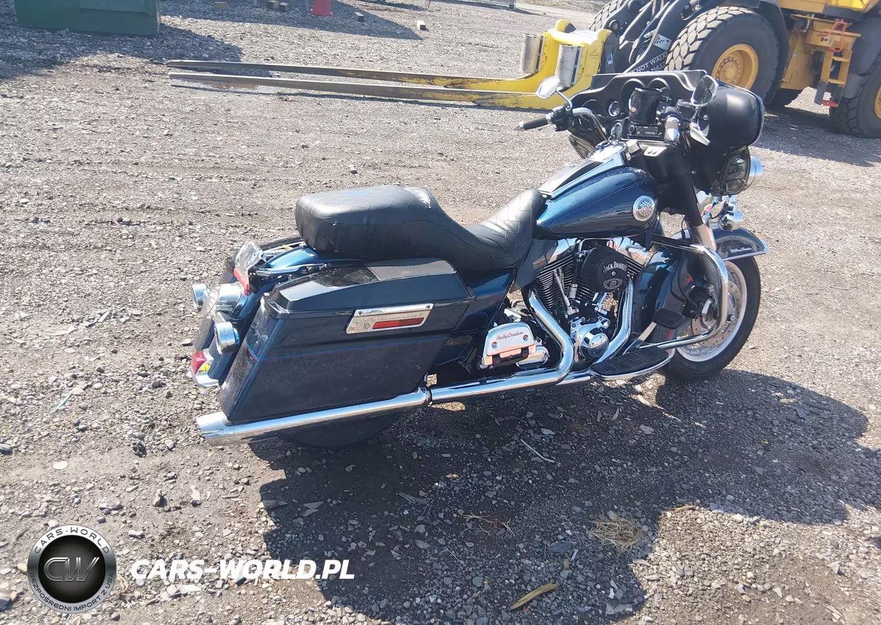 2004 Harley-Davidson Flhtcui VIN:1HD1FCW144Y627441 - 12